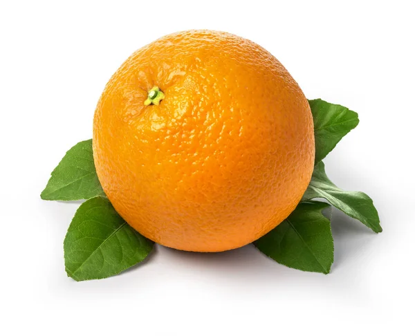 잎과 신선한 오렌지 과일 — 스톡 사진