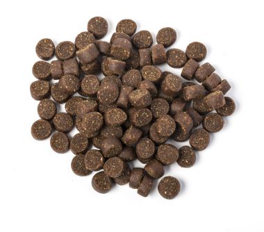 Köpekler için Kuru gıda