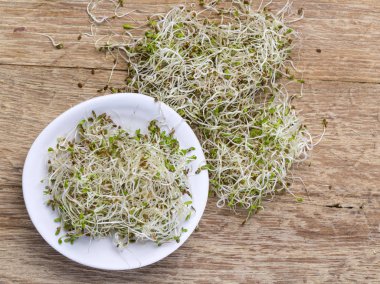 tohumlar bir seramik kase