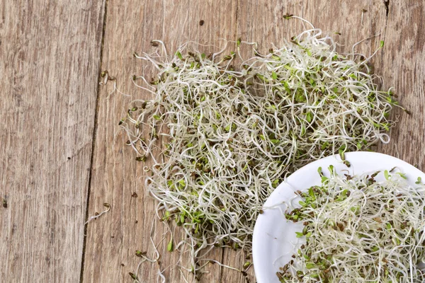 Grano germinado en tazón — Foto de Stock