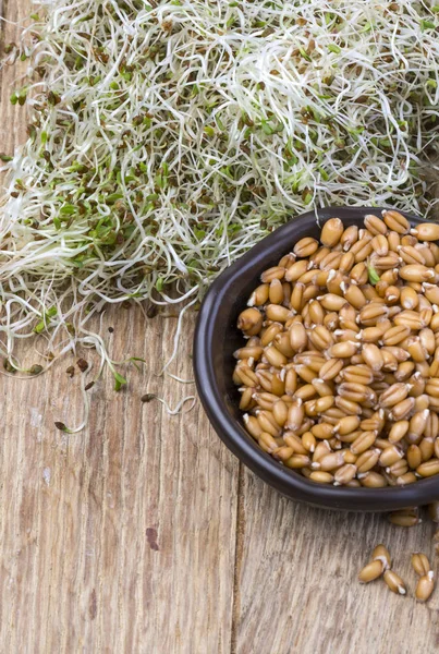 Seeds in a ceramic bowl — Stock Photo, Image