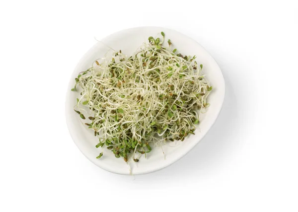 Top view of fresh sprouts in bowl — Stock Photo, Image