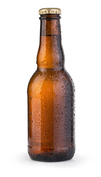 Beer bottles with drops — Stock Photo, Image