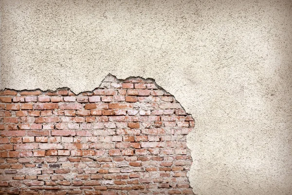  Grunge duvar arka plan