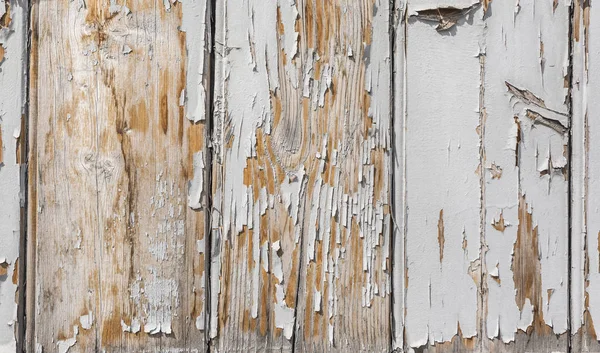 Textura del tablón fondo — Foto de Stock