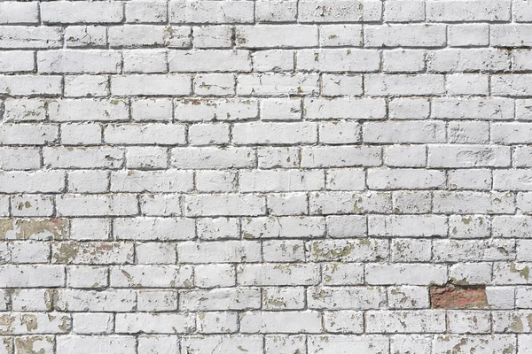 Muur baksteen achtergrond — Stockfoto