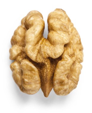 Ceviz beyaza izole edilmiş.