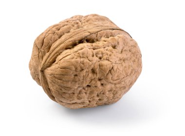 beyaz arkaplanda ceviz
