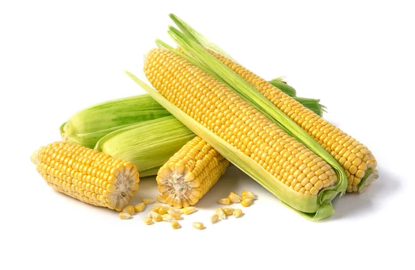 Corn on white background — Stock Photo, Image