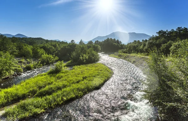Река Горной Долине Ярким Лугом Летний Пейзаж — стоковое фото