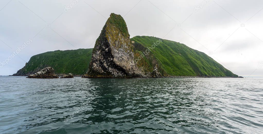 Rocks in the Pacific Ocean where birds nest at the entrance to the bay Avachinskayay - Kamchatka, Russia