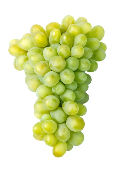 Grüne Traubenfrüchte isoliert — Stockfoto