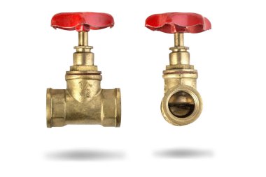 Kırmızı saplı kapakçık