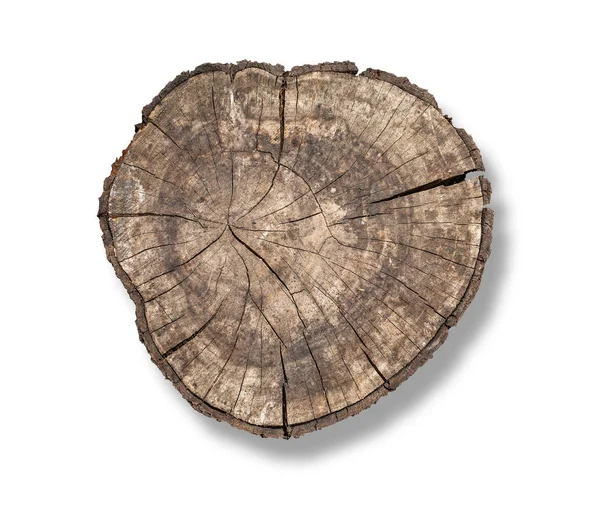 Stary drewniany kikut izolowany — Zdjęcie stockowe