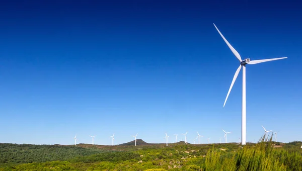 Concept Idea Eco Power Energy Wind Turbine Blue Sky — Stock Photo, Image