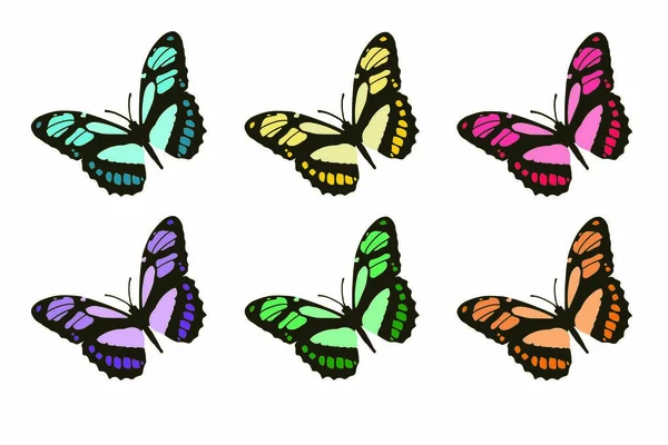 Vektor Schmetterling bunt — Stockvektor