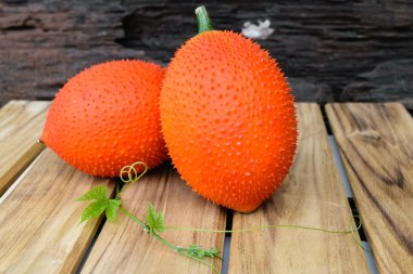 Sarı uzatma kablosu