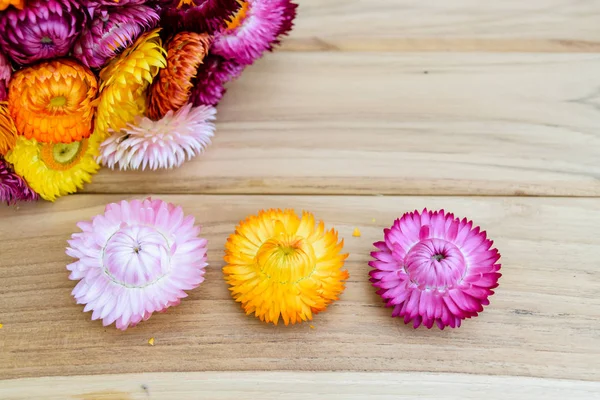 Beautiful strawflowers on wooden table — Stock Photo, Image