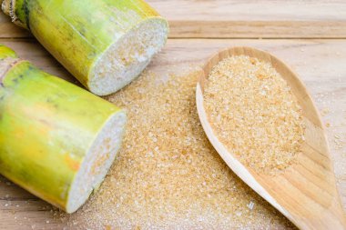 kahverengi şeker ve şeker kamışı