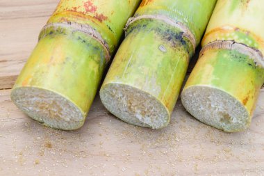 kahverengi şeker ve şeker kamışı