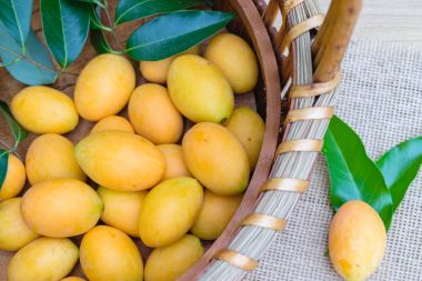 Erik mango veya Marian Erik meyve