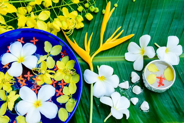Kabın içinde Tayland Songkran Festivali su