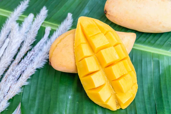 Свежий желтый манго — стоковое фото