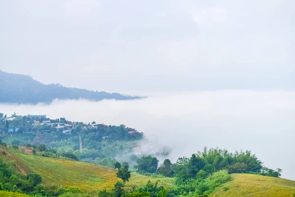 Brouillard matinal en Thaïlande — Photo