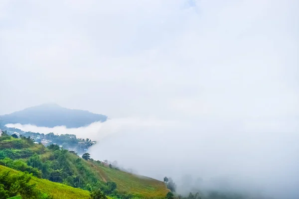 Morgennebel in Thailand — Stockfoto