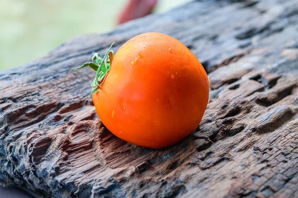 Tomate rojo fresco — Foto de Stock