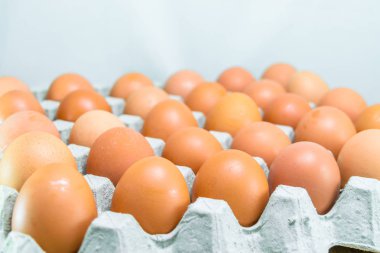 Çiğ tavuk yumurtası.