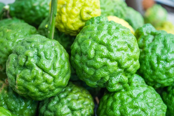 Bergamot herb of Thailand — Stock Photo, Image