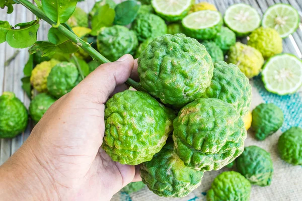 Bergamot herb of Thailand — Stock Photo, Image