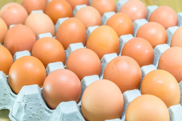 Çiğ tavuk yumurtası.