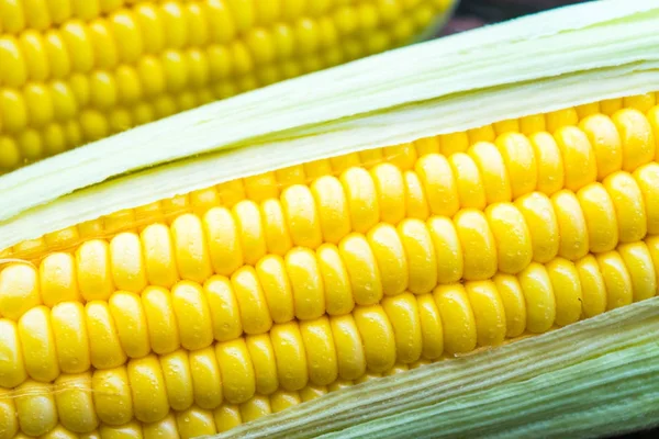 Fresh corn — Stock Photo, Image