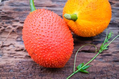 GAC meyve, Bebek nefesi ve suyu