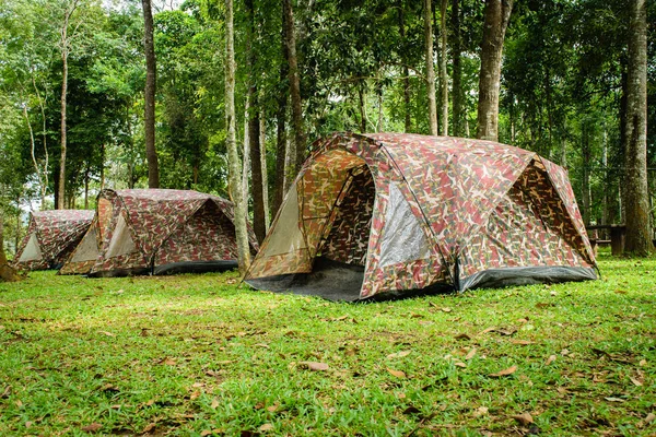 Tienda de campaña en el bosque —  Fotos de Stock