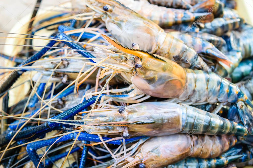 Fresh shrimp or big prawn — Stock Photo © naramit 190737812