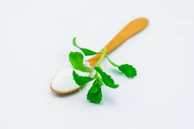 Beyaz üzerinde Stevia yaprağı
