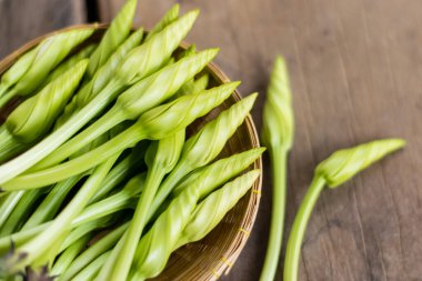 Ay Çiçeği (Ipomoea alba L.) ahşap bir masada bambu sepetinde.