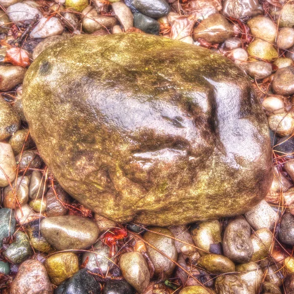 Large Rock in Rock garden october