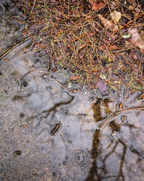 stock image Wet Concrete Drive in Fall Rain