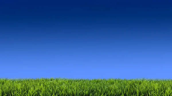 Spring / Summer Lawncare Blue Sky — Stock Photo, Image