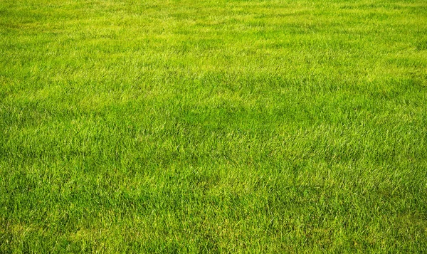 Primavera estate Lawncare — Foto Stock