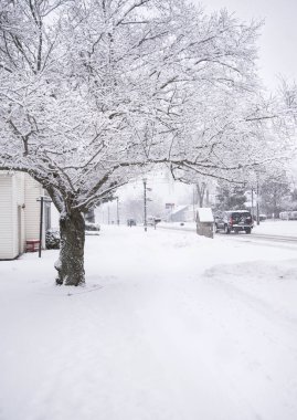 Michigan kış tatili