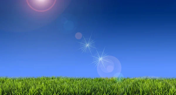 Summer Lawncare Flare — Stock Photo, Image