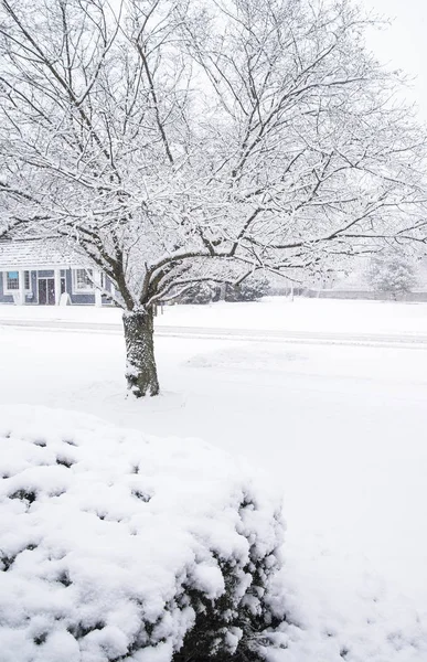 Michigan vintersemester — Stockfoto