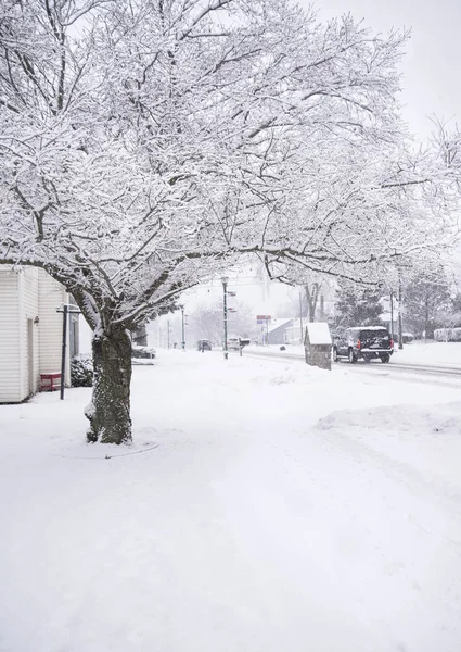 Michigan wintervakantie — Stockfoto