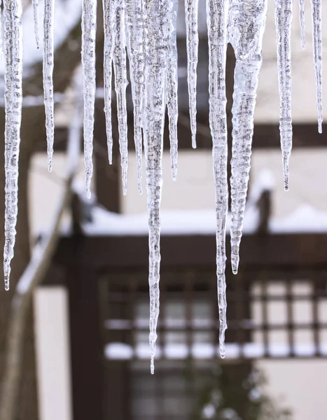 Icicle Eve — Stock Photo, Image