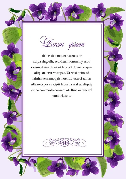 Moldura com as flores de violeta — Vetor de Stock